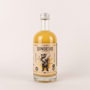 CONCENTRÉ DE GINGEMBRE GINGEUR - MENEAU